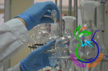 Laboratorio Moléculas Bioactivas